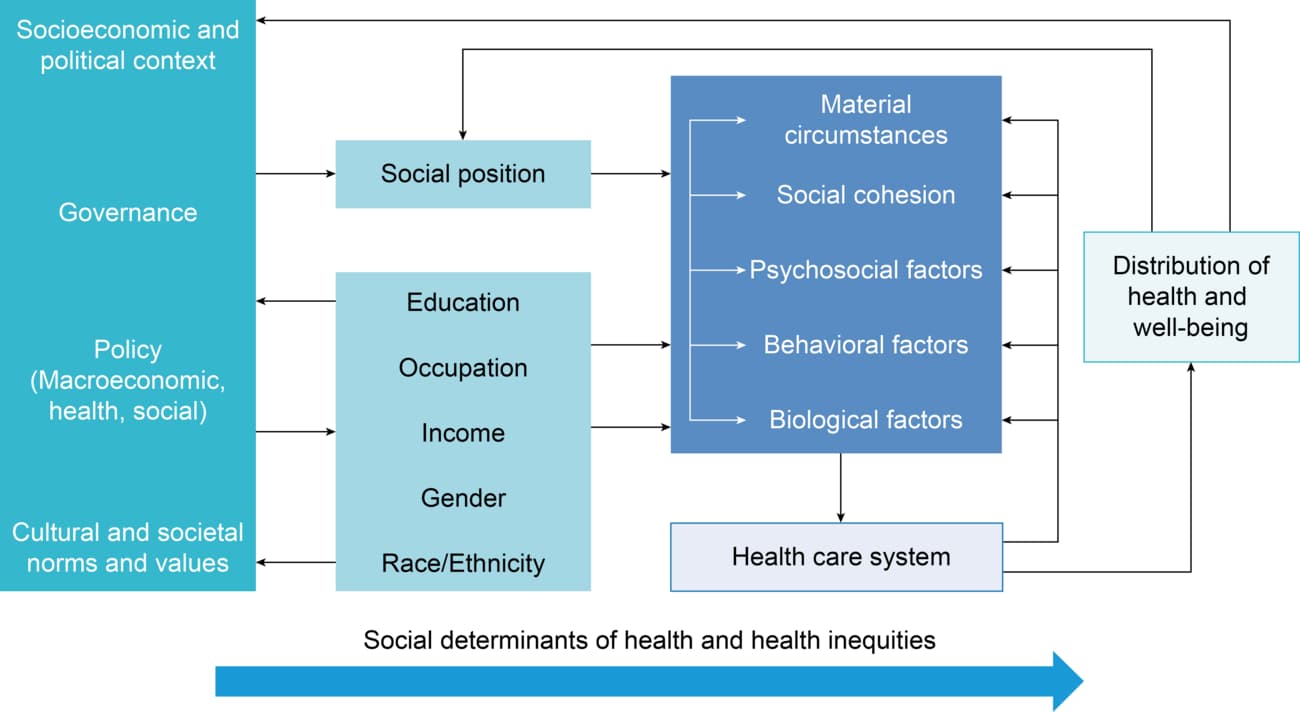 SDOH Diagram